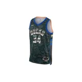 nba-giannis-antetokounmpo-select-marka-nike