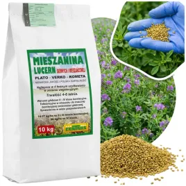 lucerna-nasiona-siewna-mieszanina-lucern-siewnych-i-mieszancowej-10kg