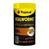 tropical-meal-worms-100ml-13g