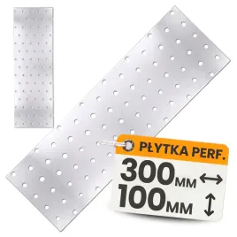 plytka-perforowana-lacznik-ciesielki-pp26-plaskownik-300x100x20-ocynk-1szt