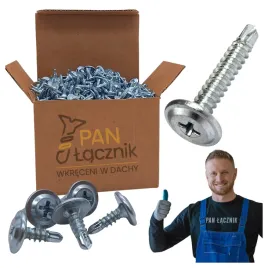 wkrety-do-metalu-podkladkowe-samowiercace-42x19mm-ph2-ocynk-1000szt-pan-l