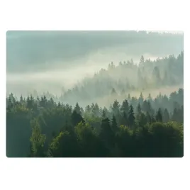 duza-mata-pod-krzeslo-do-pokoju-dzieciecego-mglisty-las-o-swicie-140x100