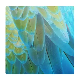 elastyczna-mata-pod-krzeslo-fotel-piora-ptaka-z-bliska-100x100-cm