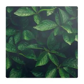 ochronna-mata-biurowa-premium-na-podloge-liscie-w-gestwinie-100x100