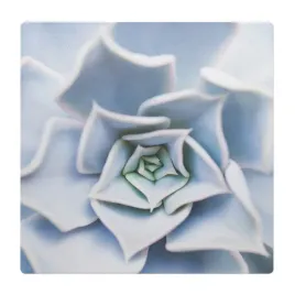 mata-ochrona-antyrysowa-pvc-pod-fotel-fotel-sukulenty-spiralne-100x100