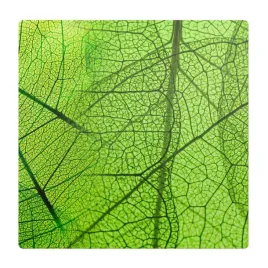 mata-ochronna-pod-krzeslo-fotel-do-biurka-lisc-w-zblizeniu-100x100