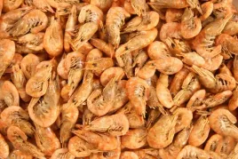 glopex-krewetka-suszona-shrimps-100g-pokarm-dla-ryb