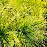 kostrzewa-walberla-p9-c1-producent-inna