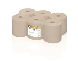satino-pure-soft-recznik-w-roli-systemowy-2-war-dl-170-m-6-rolek