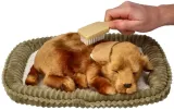 oddychajacy-kundelek-do-zaadoptowania-marka-melissa-and-doug