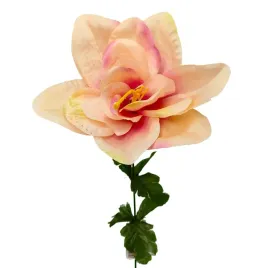 amarylis-rozowy-pojedynczy-58-cm-hortens