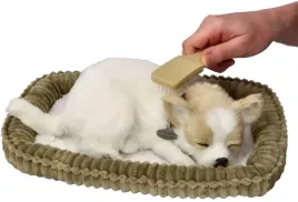 chrapiacy-szczeniaczek-chihuahua