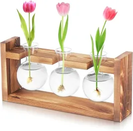 szklane-terrarium-hydroponiczne-z-drewniana-podstawa