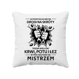 w-moim-fachu-nie-ma-drogi-na-skroty-mistrz-poduszka-na-prezent