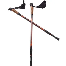 bjorn-nordic-walking-kije-trekkingowe-2-kijki