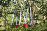 felco-221-90-sekator-stan-nowy-kod-producenta-221-90