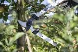 felco-221-90-sekator-kod-producenta-221-90-stan-nowy