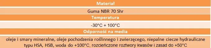 simering-100x120x10-nierdzewna-sprezyna