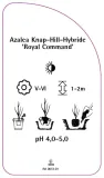 etykieta-szkolkarska-azalea-royal-command-stan-nowy