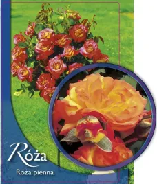 etykieta-szkolkarska-roza-pienna-50-a