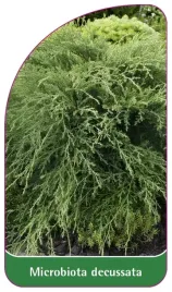 etykieta-szkolkarska-microbiota-descussata