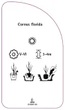etykieta-szkolkarska-cornus-florida-stan-nowy