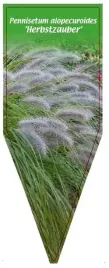 etykieta-szkolkarska-pennisetum-alopecuroides-herbstzauber