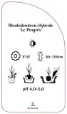 etykieta-szkolkarska-rhododendron-le-progres-stan-nowy