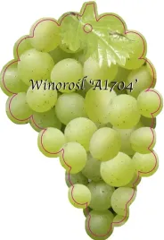 etykieta-szkolkarska-winorosl-a1704-jumbo