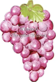 etykieta-szkolkarska-winorosl-chrupka-rozowa