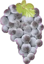 etykieta-szkolkarska-winorosl-konkord-rosyjski-jumbo