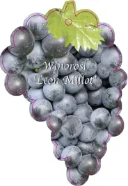 etykieta-szkolkarska-winorosl-leon-millot-jumbo