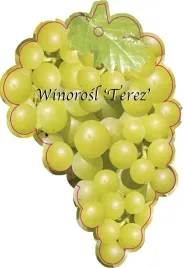 etykieta-szkolkarska-winorosl-terez-jumbo