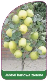 etykieta-szkolkarska-jablon-karlowa-zielona
