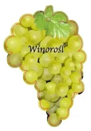 etykieta-szkolkarska-winorosl-owoc-zolty-jumbo