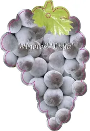 etykieta-szkolkarska-winorosl-lidia-jumbo