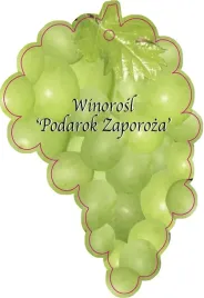 etykieta-szkolkarska-winorosl-podarock-zaporoza