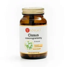 yango-cissus-czworograniasty-90-kaps