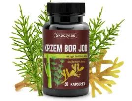 skoczylas-krzem-bor-jod-skrzyp-bambus-algi-60-kaps