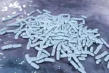 intercellr-bactoflor-90-kaps