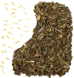 herbata-biala-lisciasta-jasmine-burst-50-g-jasminowa-pai-mu-tan-swieza