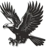 obraz-orzel-wolnosci-stan-nowy