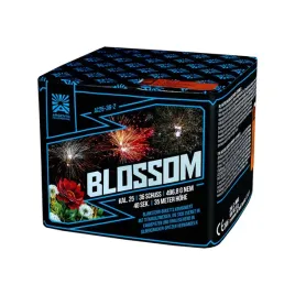 wyrzutnia-argento-blossom-ac25-36-2-36-strzalow-1