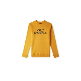 dziecieca-bluza-o-neill-logo-crew-128