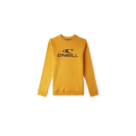 dziecieca-bluza-o-neill-logo-crew-176