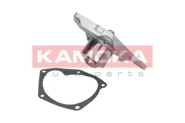 pompa-wody-renault-scenic-ii-2003-2004-2005-2006-2007-2008