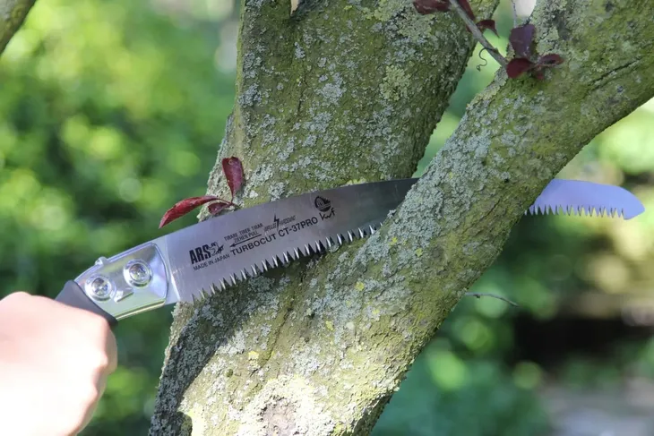 ars-ct-37pro-pilka-marka-euroflora
