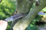 ars-ct-37pro-pilka-marka-euroflora