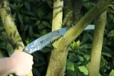 ars-uv-37pro-pilka-marka-euroflora