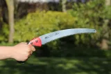 ars-ct-32pro-pilka-marka-euroflora